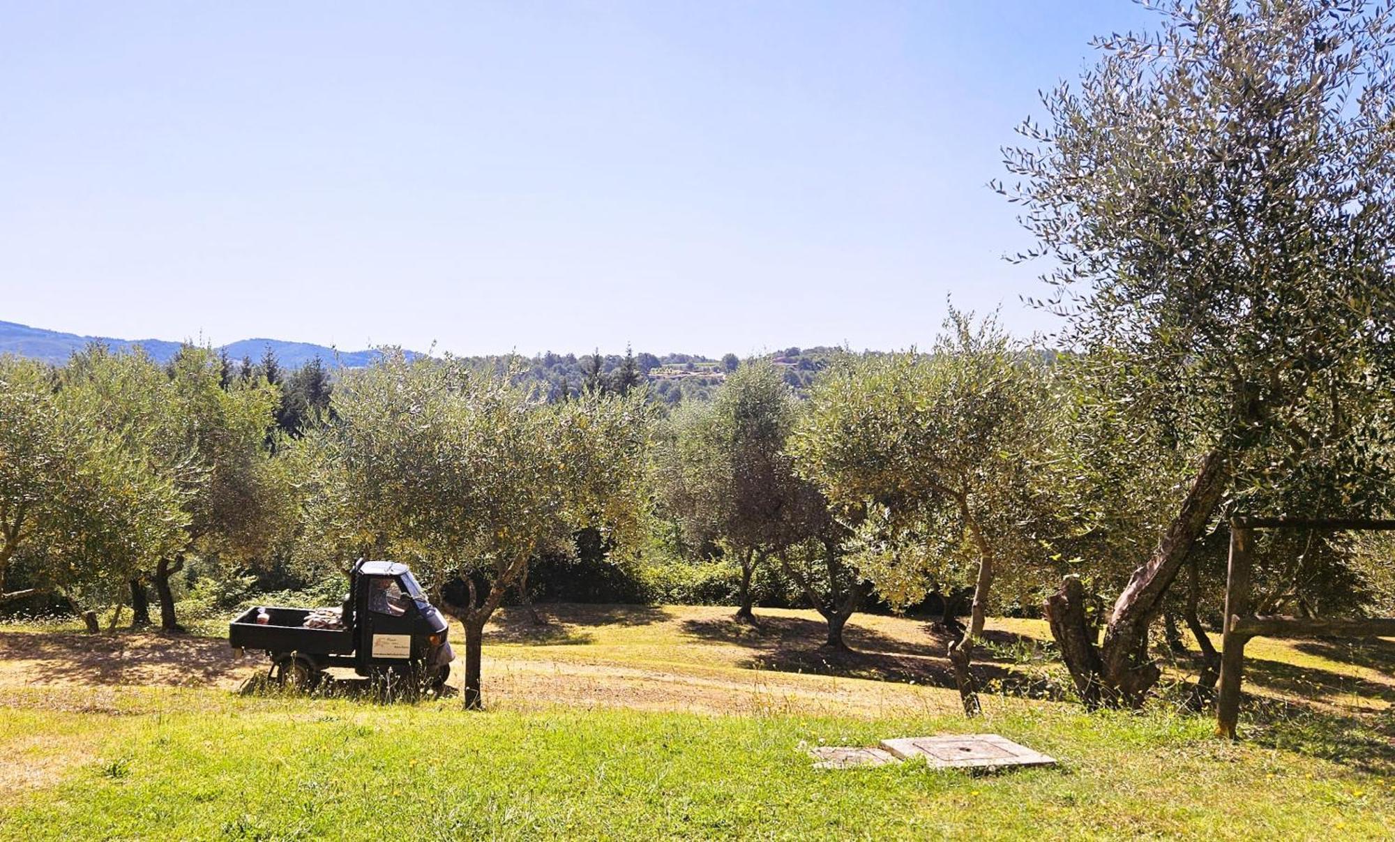 Apartmán Pian Della Bandina Città della Pieve Exteriér fotografie